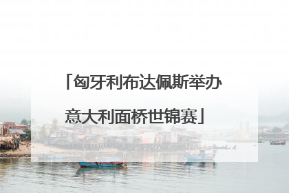 匈牙利布达佩斯举办意大利面桥世锦赛