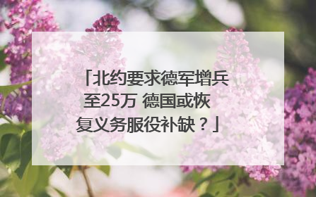 北约要求德军增兵至25万 德国或恢复义务服役补缺？