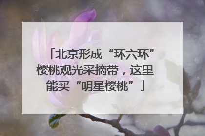 北京形成“环六环”樱桃观光采摘带，这里能买“明星樱桃”