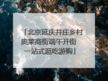 北京延庆井庄乡村奥莱商街端午开街 一站式逛吃游购
