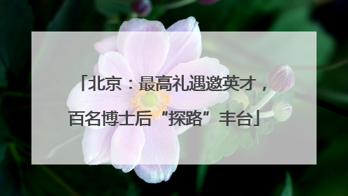 北京：最高礼遇邀英才，百名博士后“探路”丰台