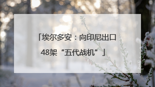 埃尔多安：向印尼出口48架“五代战机”