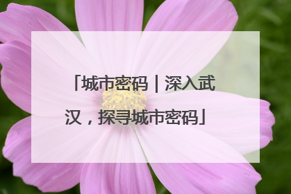 城市密码｜深入武汉，探寻城市密码