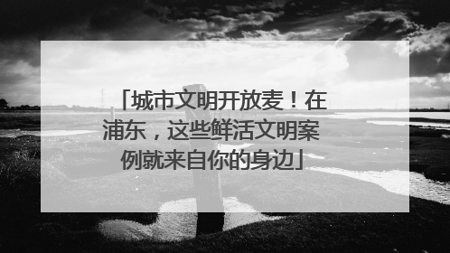 城市文明开放麦！在浦东，这些鲜活文明案例就来自你的身边