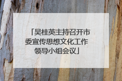 吴桂英主持召开市委宣传思想文化工作领导小组会议