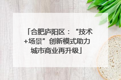 合肥庐阳区：“技术+场景”创新模式助力城市商业再升级
