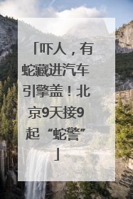 吓人，有蛇藏进汽车引擎盖！北京9天接9起“蛇警”