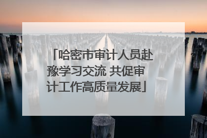 哈密市审计人员赴豫学习交流 共促审计工作高质量发展