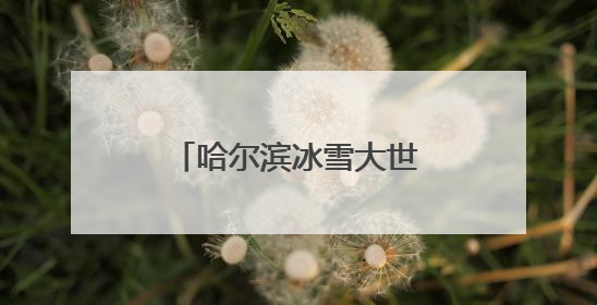 哈尔滨冰雪大世界今夏打造5大产品10大项目