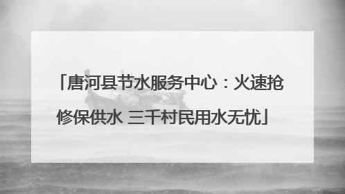 唐河县节水服务中心：火速抢修保供水 三千村民用水无忧
