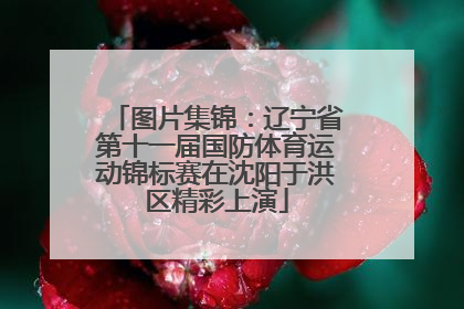 图片集锦：辽宁省第十一届国防体育运动锦标赛在沈阳于洪区精彩上演
