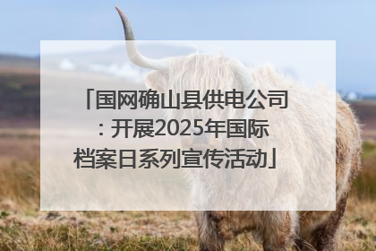 国网确山县供电公司：开展2025年国际档案日系列宣传活动