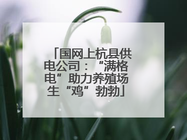 国网上杭县供电公司：“满格电”助力养殖场生“鸡”勃勃