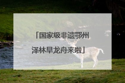 国家级非遗鄂州泽林旱龙舟来啦