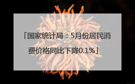 国家统计局：5月份居民消费价格同比下降0.1%