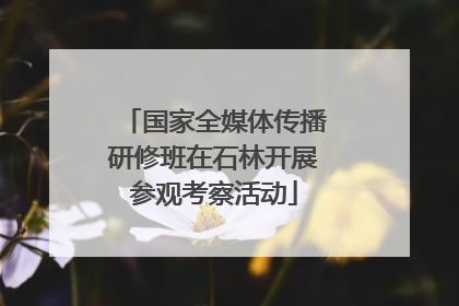国家全媒体传播研修班在石林开展参观考察活动