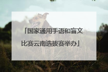 国家通用手语和盲文比赛云南选拔赛举办