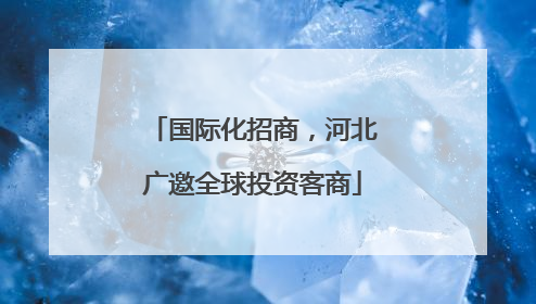 国际化招商，河北广邀全球投资客商