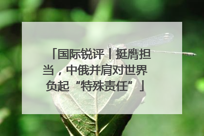 国际锐评丨挺膺担当，中俄并肩对世界负起“特殊责任”