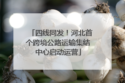 四线同发！河北首个跨境公路运输集结中心启动运营