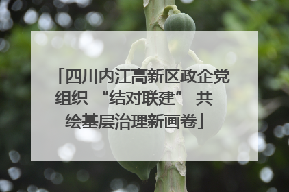 四川内江高新区政企党组织 “结对联建” 共绘基层治理新画卷