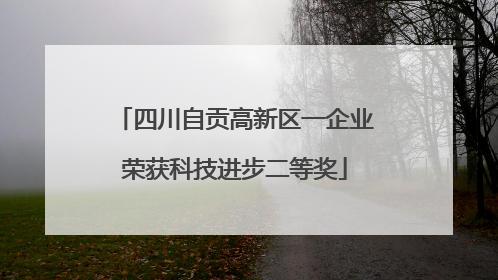 四川自贡高新区一企业荣获科技进步二等奖