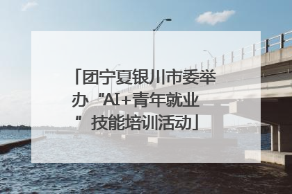 团宁夏银川市委举办“AI+青年就业”技能培训活动