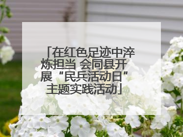 在红色足迹中淬炼担当 会同县开展“民兵活动日”主题实践活动