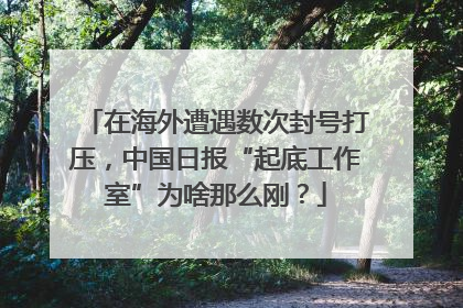 在海外遭遇数次封号打压，中国日报“起底工作室”为啥那么刚？
