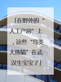 在野外的“人工产房”上，这些“鸟类大熊猫”在武汉生宝宝了