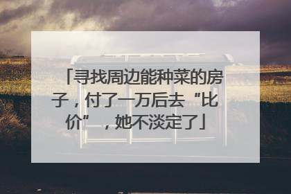 寻找周边能种菜的房子，付了一万后去“比价”，她不淡定了