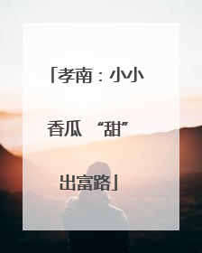 孝南：小小香瓜 “甜”出富路