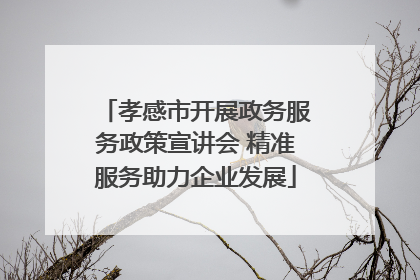孝感市开展政务服务政策宣讲会 精准服务助力企业发展