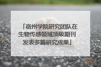 宿州学院研究团队在生物传感领域顶级期刊发表多篇研究成果