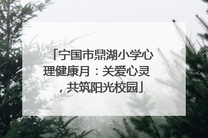 宁国市鼎湖小学心理健康月：关爱心灵，共筑阳光校园