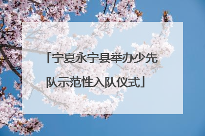 宁夏永宁县举办少先队示范性入队仪式