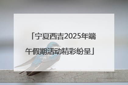 宁夏西吉2025年端午假期活动精彩纷呈