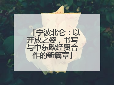 宁波北仑：以开放之姿，书写与中东欧经贸合作的新篇章