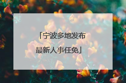 宁波多地发布最新人事任免