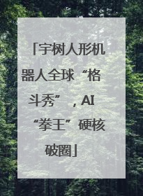 宇树人形机器人全球“格斗秀”，AI“拳王”硬核破圈