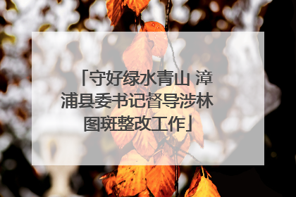 守好绿水青山 漳浦县委书记督导涉林图斑整改工作