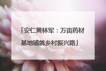安仁黄林军：万亩药材基地铺就乡村振兴路
