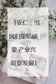 安仁：引凤归巢结硕果 产业兴旺促发展