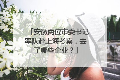 安徽两位市委书记率队赴上海考察，去了哪些企业？