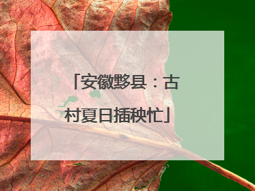 安徽黟县：古村夏日插秧忙
