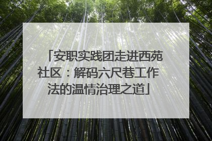 安职实践团走进西苑社区：解码六尺巷工作法的温情治理之道