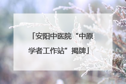 安阳中医院“中原学者工作站”揭牌