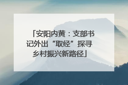 安阳内黄：支部书记外出“取经”探寻乡村振兴新路径