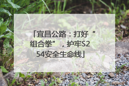 宜昌公路：打好“组合拳”，护牢S254安全生命线