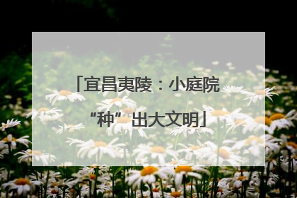 宜昌夷陵：小庭院“种”出大文明